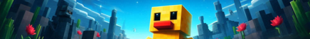 DuckyMC Server Banner