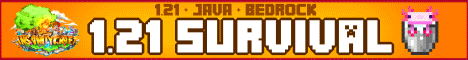 InsanityCraft Server Banner
