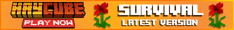 HayCube Server Banner HayCube Server Banner