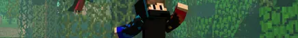 SwaritMC Server Banner
