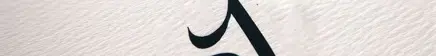 2025 Server Banner 2025 Server Banner