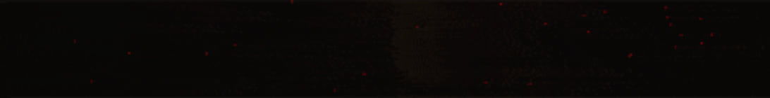 Beanstock SMP Server Banner