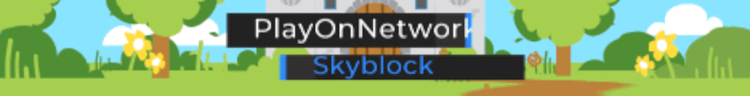 PlayOnNetworks Skyblock Server Banner