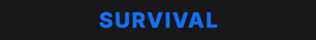 Play Allay Server Banner Play Allay Server Banner