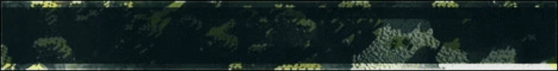 Mint Survival Server Banner