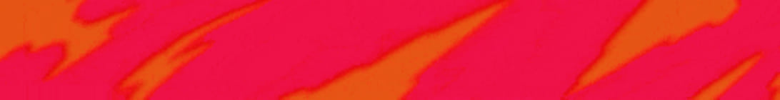 New Lands Survival Server Banner