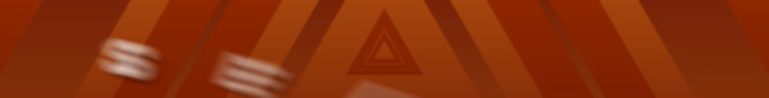 Seiky Network Server Banner