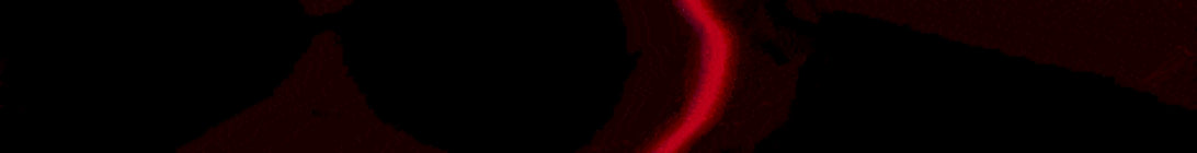 Irrenhaus Server Banner