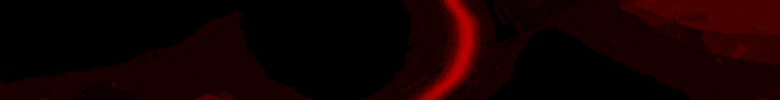 mcDaily Server Banner