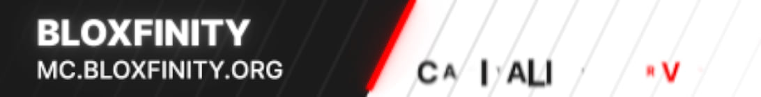 Bloxfinity Server Banner