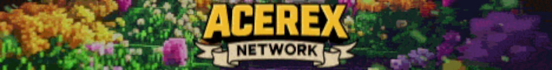 Acerex Network Server Banner