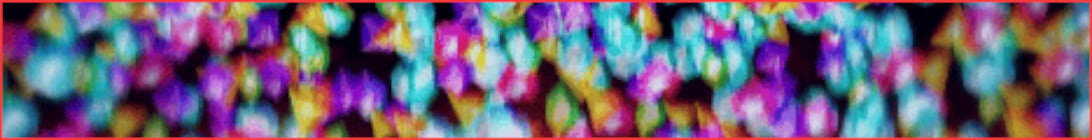 ShroomVille Server Banner