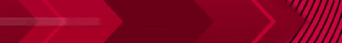 ServerOne Network Server Banner
