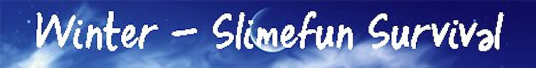 Winter Server Banner Winter Server Banner