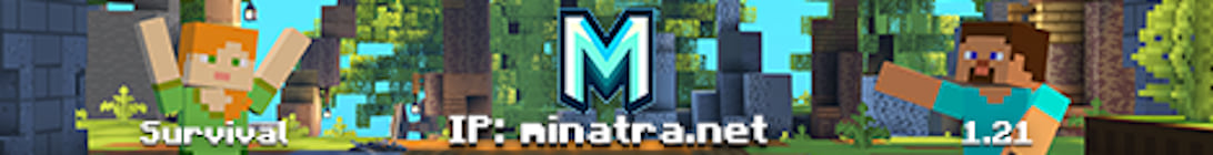 Minatra Network Server Banner Minatra Network Server Banner