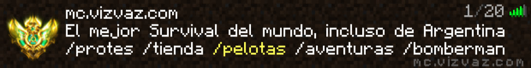 vizvaz Server Banner