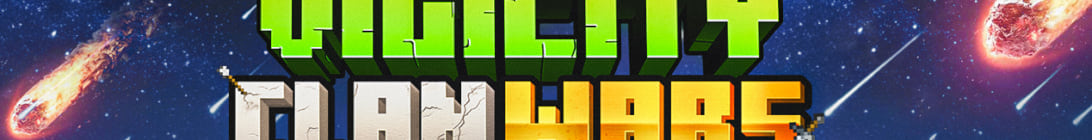 VigiCity Server Banner
