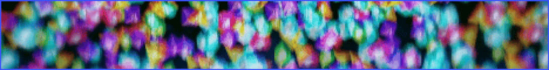 THE YOLOS Server Banner