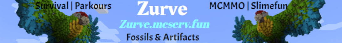 Zurve Server Banner