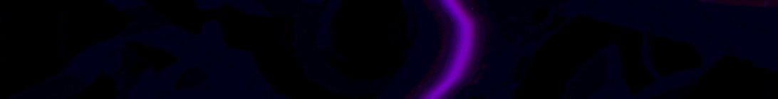 OrionMC Server Banner
