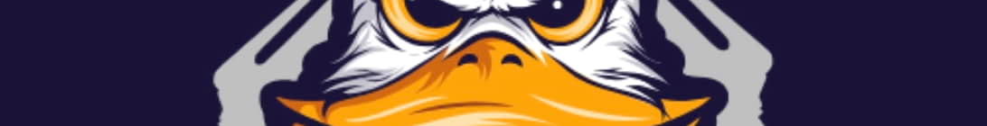 RecoilRickTwitch Survival Server Banner
