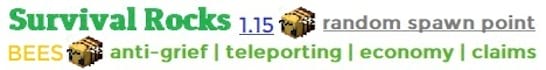 Survival Rocks with Bees Server Banner Survival Rocks with Bees Server Banner