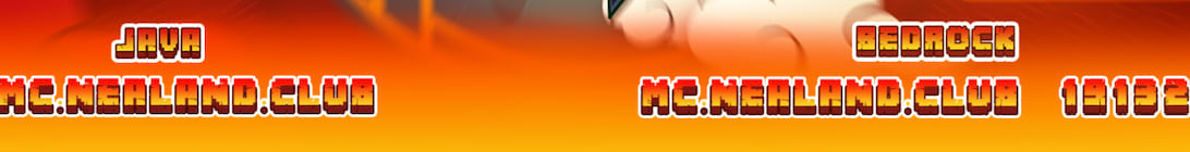 Nealand Network Server Banner