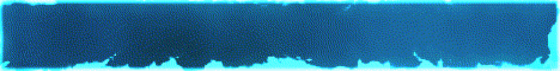 REDE SAINT Server Banner