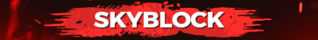 CJ Craft Network Server Banner
