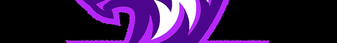 Worsy Server Banner