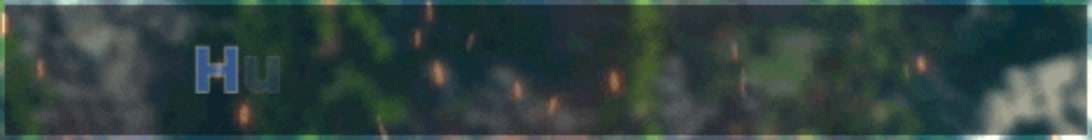 HunterBlock Network Server Banner