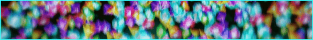 CoastSideMC Server Banner