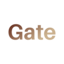 The Public LifeSteal SMP Server Logo