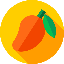 Mango Net Server Logo Mango Net Server Logo