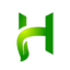 Horizion Network Server Logo