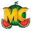 Melon Cloud Server Logo Melon Cloud Server Logo