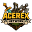 Acerex Network Server Logo
