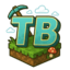 TopBlockMC Server Logo